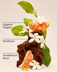 In the Stars Mini Gift Set