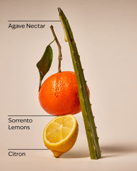 Sunwashed Citrus Wallflowers Refills 2-Pack