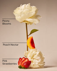 Gingham Gorgeous Body Wash