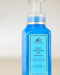 Crisp Morning Air Gentle & Clean Foaming Hand Soap