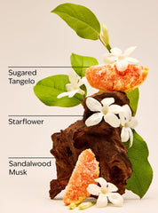 In the Stars Wallflowers Fragrance Refill