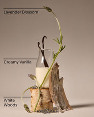 Lavender Vanilla Wallflowers Fragrance Refill