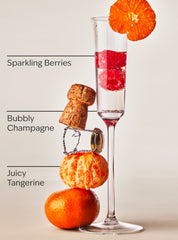 Champagne Toast Hanging Fragrance Diffuser