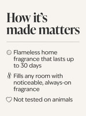 Winter Candy Apple Wallflowers Refills 2-Pack