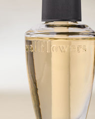 Coffee & Whiskey Wallflowers Fragrance Refill