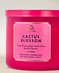 Cactus Blossom 3-Wick Candle