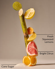 Sunshine & Lemons Hand Sanitizer with Pump