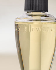 Whipped Honey & Vanilla Wallflowers Fragrance Refill