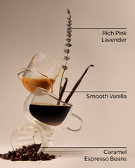 Pink Lavender & Espresso Wallflowers Fragrance Refill