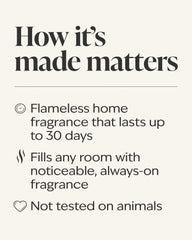 Sandbar Wallflowers Fragrance Refill