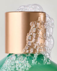 Eucalyptus Spearmint Body Wash & Foam Bath