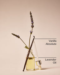 Lavender Vanilla Travel Size Ultimate Hydration Body Cream