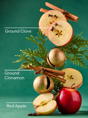 'Tis The Season Cleansing Gel Hand Soap