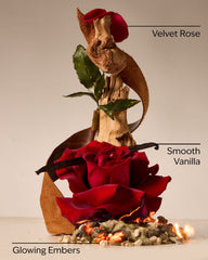 Rosewood & Suede Gentle & Clean Foaming Hand Soap