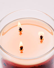 Champagne Toast 3-Wick Candle