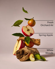 Blue Orchard Skies 3-Wick Candle