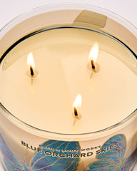 Blue Orchard Skies 3-Wick Candle