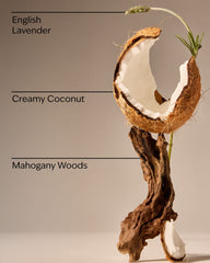 Mahogany Coconut 3-Wick Candle