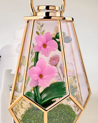 Orchid Terrarium Scent Control™ Nightlight Wallflowers Fragrance Plug