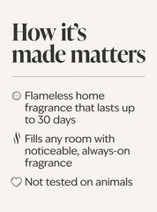 Winter Candy Apple Wallflowers Fragrance Refill