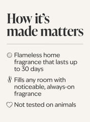 Letters To The North Pole Wallflowers Fragrance Refill