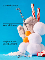 Snowball Fight Wallflowers Fragrance Refill