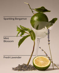 Clean House Vibes Gentle & Clean Foaming Hand Soap