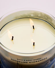 Shoreline Hydrangea 3-Wick Candle