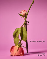 Rose Vanilla Single Wick Candle