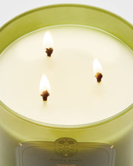 Island Margarita 3-Wick Candle