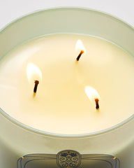 Laundry Day 3-Wick Candle
