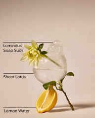 Clean House Vibes - Sparkling Bubbles Wallflowers Refills 2-Pack