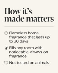 Kitchen Lemon Wallflowers Refills 2-Pack