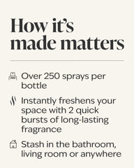 Apple Cinnamon Spice Concentrated Room Spray