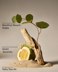 Ocean Town Bound Wallflowers Fragrance Refill