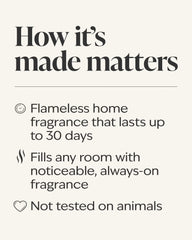 Cat Nap Wallflowers Fragrance Refill