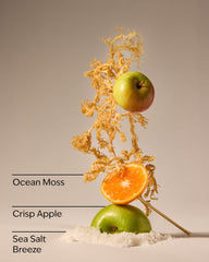 Marine Waves & Citrus Concentrated Room Spray