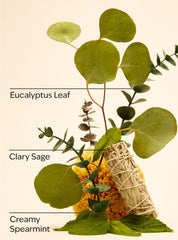 Eucalyptus Spearmint Gift Set