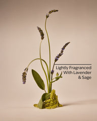 Lightly Fragranced With Lavender & Sage With Aloe & Vitamin E