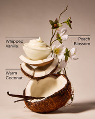 Vanilla Coconut Wallflowers Refills 2-Pack