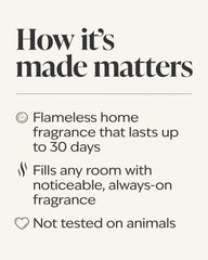 Cinnamon Stick Wallflowers Refills 2-Pack