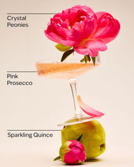 A Thousand Wishes Wallflowers Refills 2-Pack