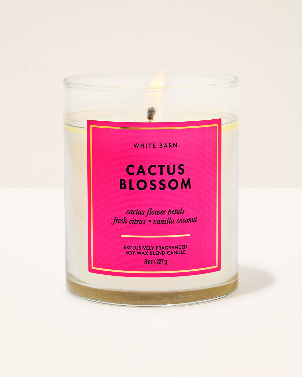 Cactus Blossom Single Wick Candle