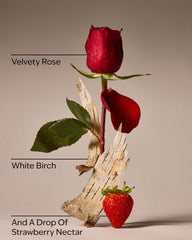 You're The One By Bath & Body Works Fine Fragrance Mist