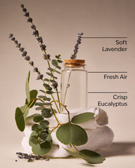 Laundry Day Wallflowers Fragrance Refill