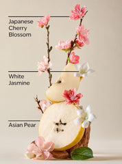 Japanese Cherry Blossom Wallflowers Fragrance Refill