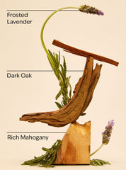 Mahogany Teakwood Hanging Fragrance Diffuser