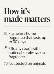 Christmas Cider Wallflowers Fragrance Refill