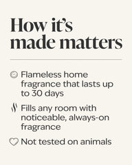 Mahogany Coconut Wallflowers Fragrance Refill