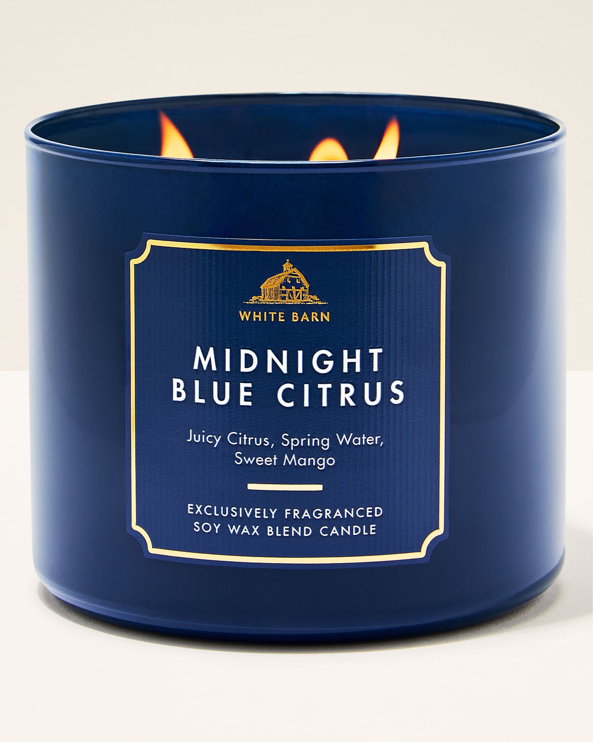 Midnight Blue Citrus 3-Wick Candle